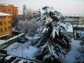 2 febbraio 2003 001_tm.jpg